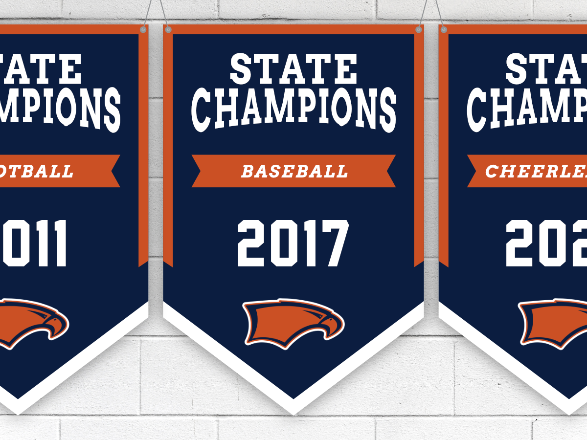 Briar Woods State Championship Banners