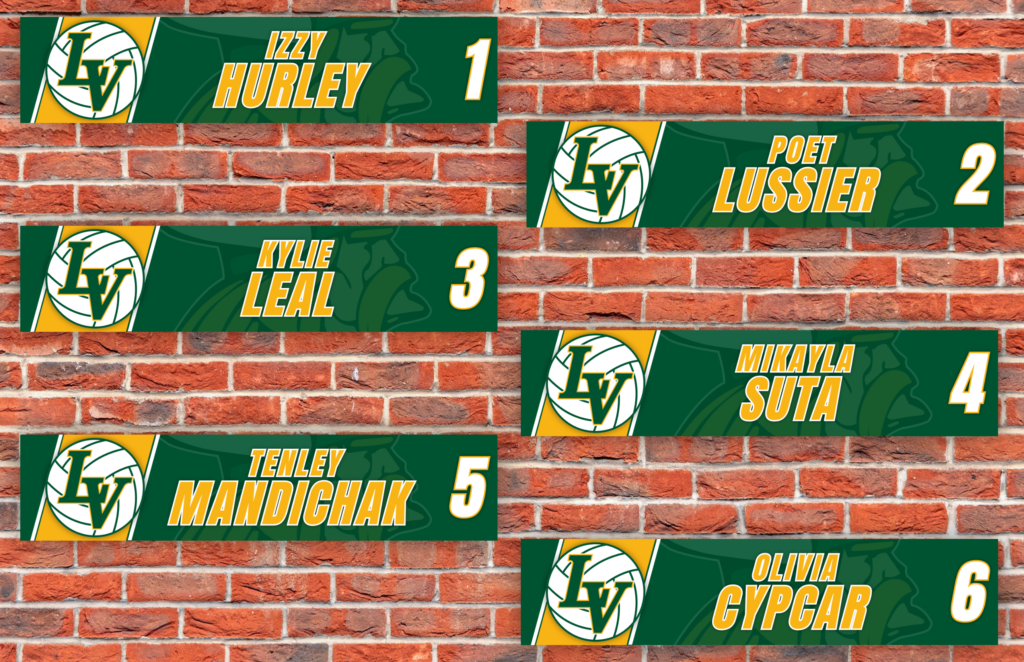 6 matching volleyball team locker magnets